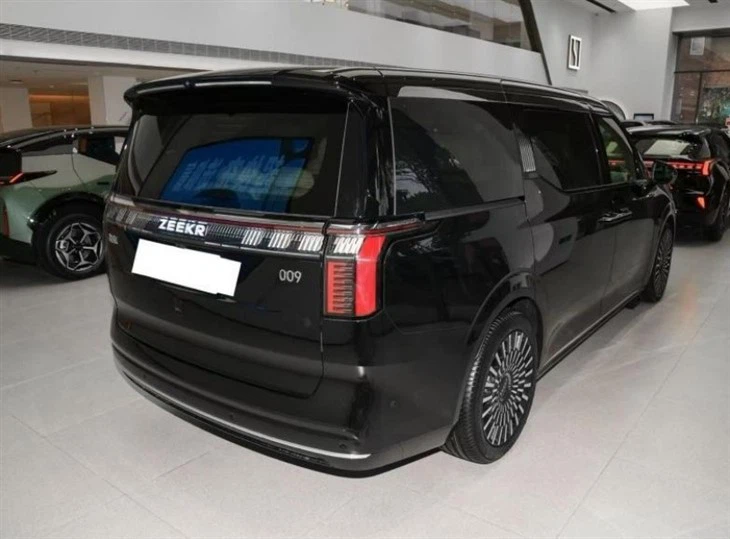 Zeeker 009 Pure Electric MPV 7seats