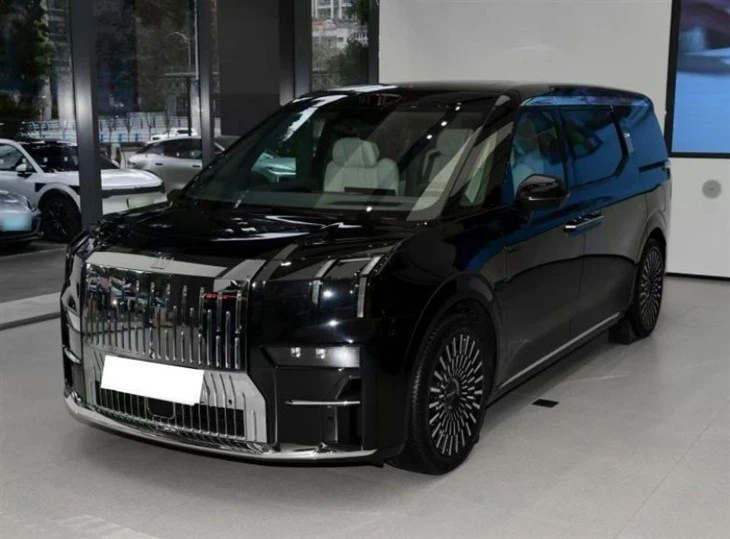 Zeeker 009 Pure Electric MPV 7 좌석