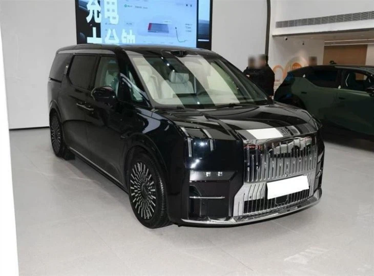 Zeeker 009 Pure Electric MPV 7seats