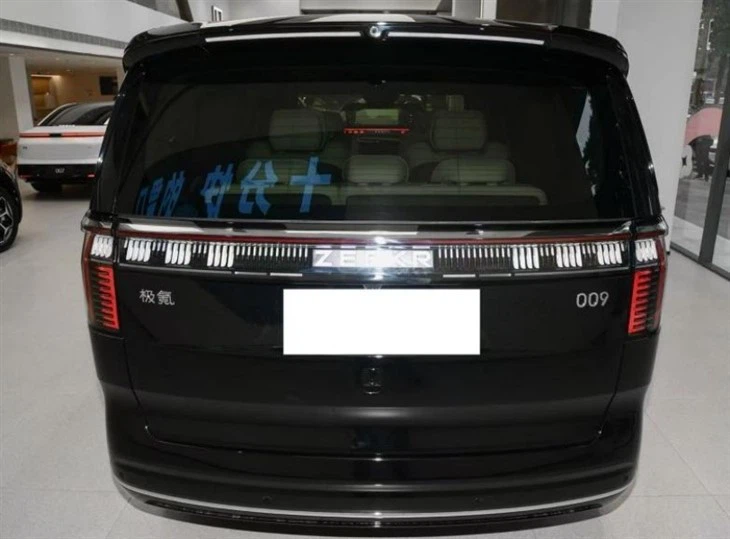 Zeeker 009 Pure Electric MPV 7seats