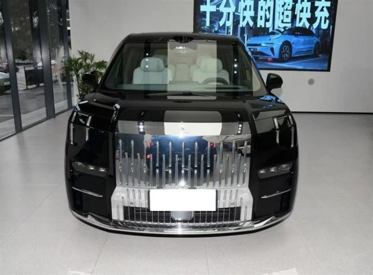 Zeeker 009 Pure Electric MPV 7seats